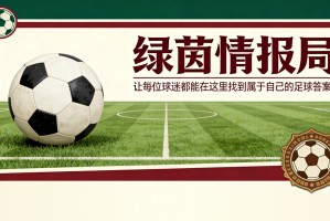 扬·维尔吉利令西甲刮目相看