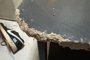 女租户失联，房屋散发恶臭被严重损坏，昆明房东报警：损失预估2万以上，她曾自称刚毕业，手头紧；物业：屋内狗彻夜狂叫，邻居曾报警